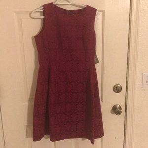 NWT Eva Mendes dress from New York & Company